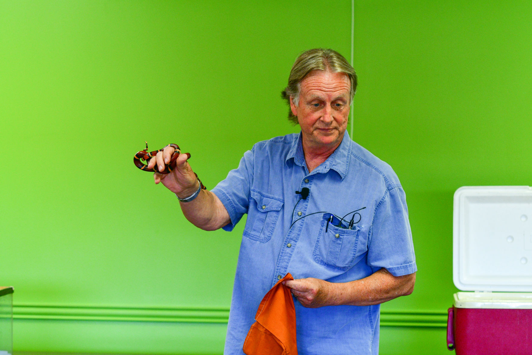 Snake Day at Clara B. Mounce Public Library